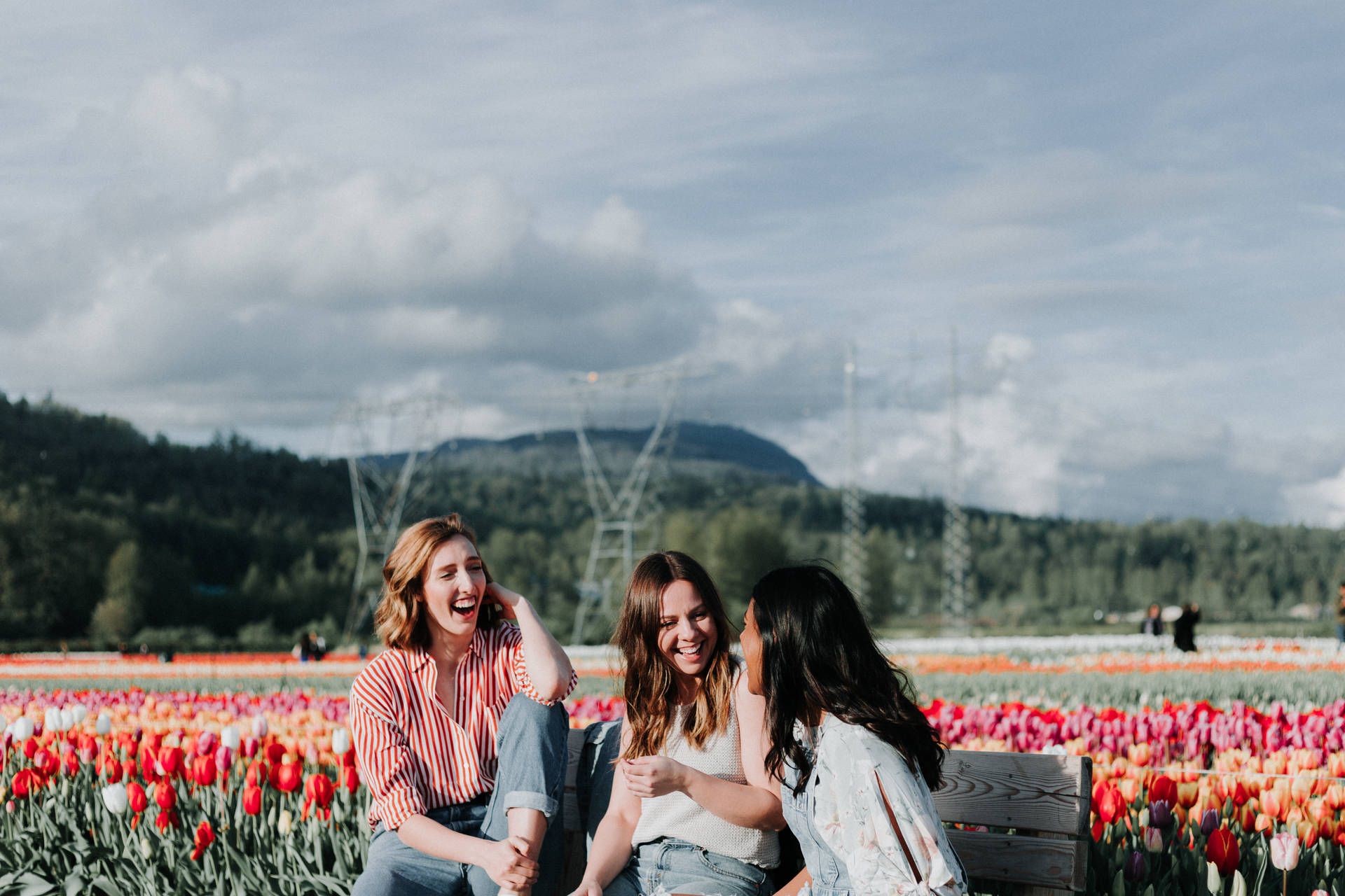 Happy Girls Best Friend In Tulips Field