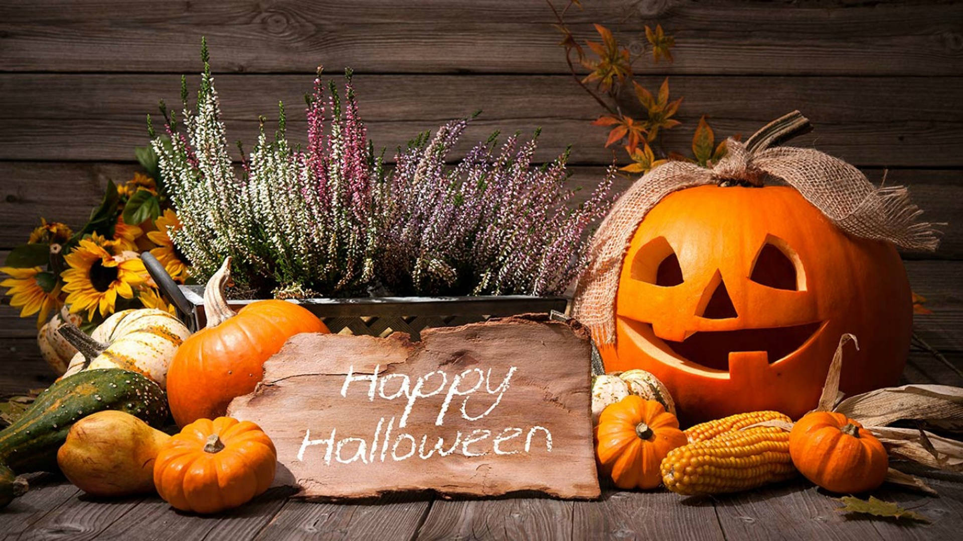 Celebrate Halloween with Fun and Joy Wallpaper