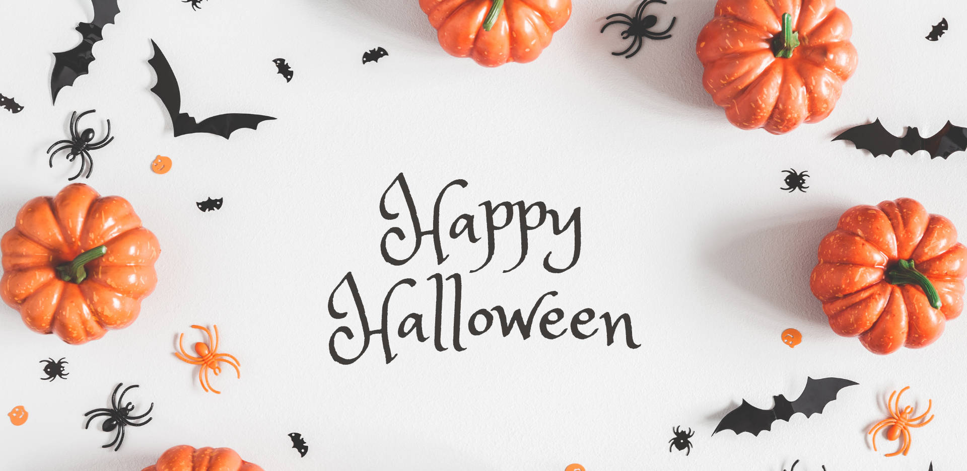 Happy Halloween With Pumpkins And Bats On A White Background Wallpaper