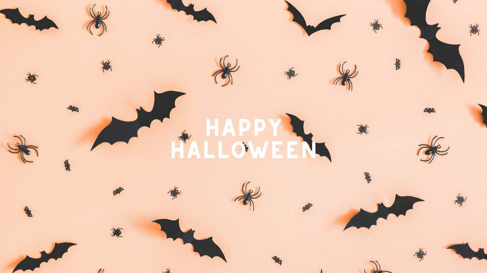 Happy_ Halloween_ Bats_and_ Spiders_ Background Wallpaper
