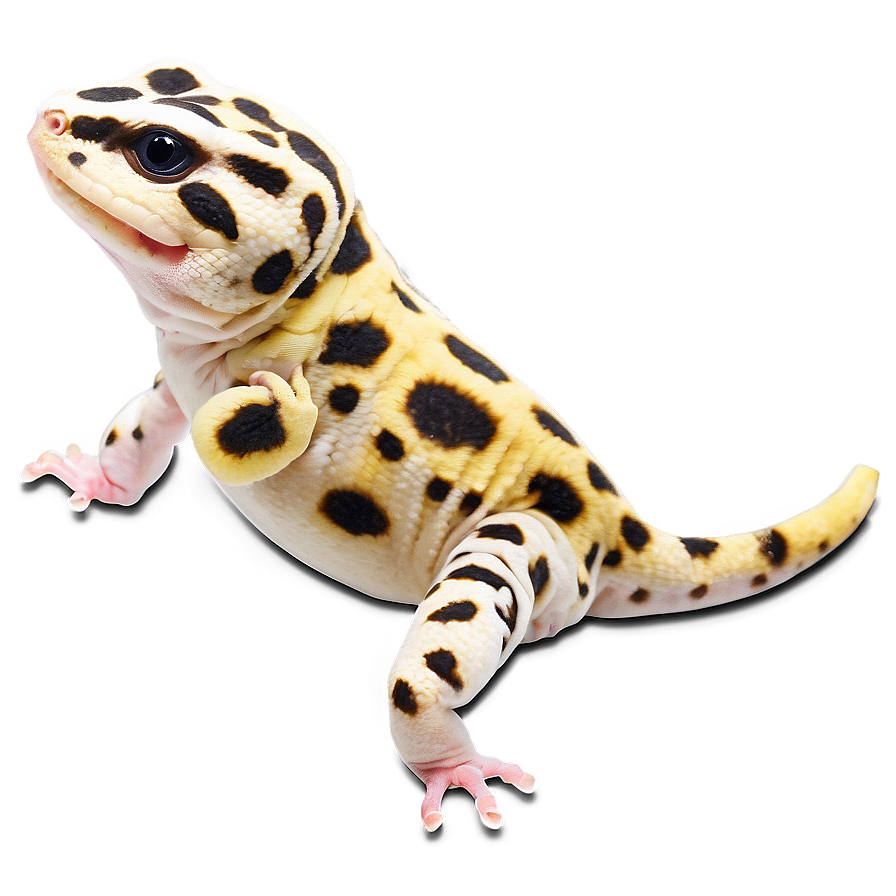 Happy Leopard Gecko Png Rdh PNG