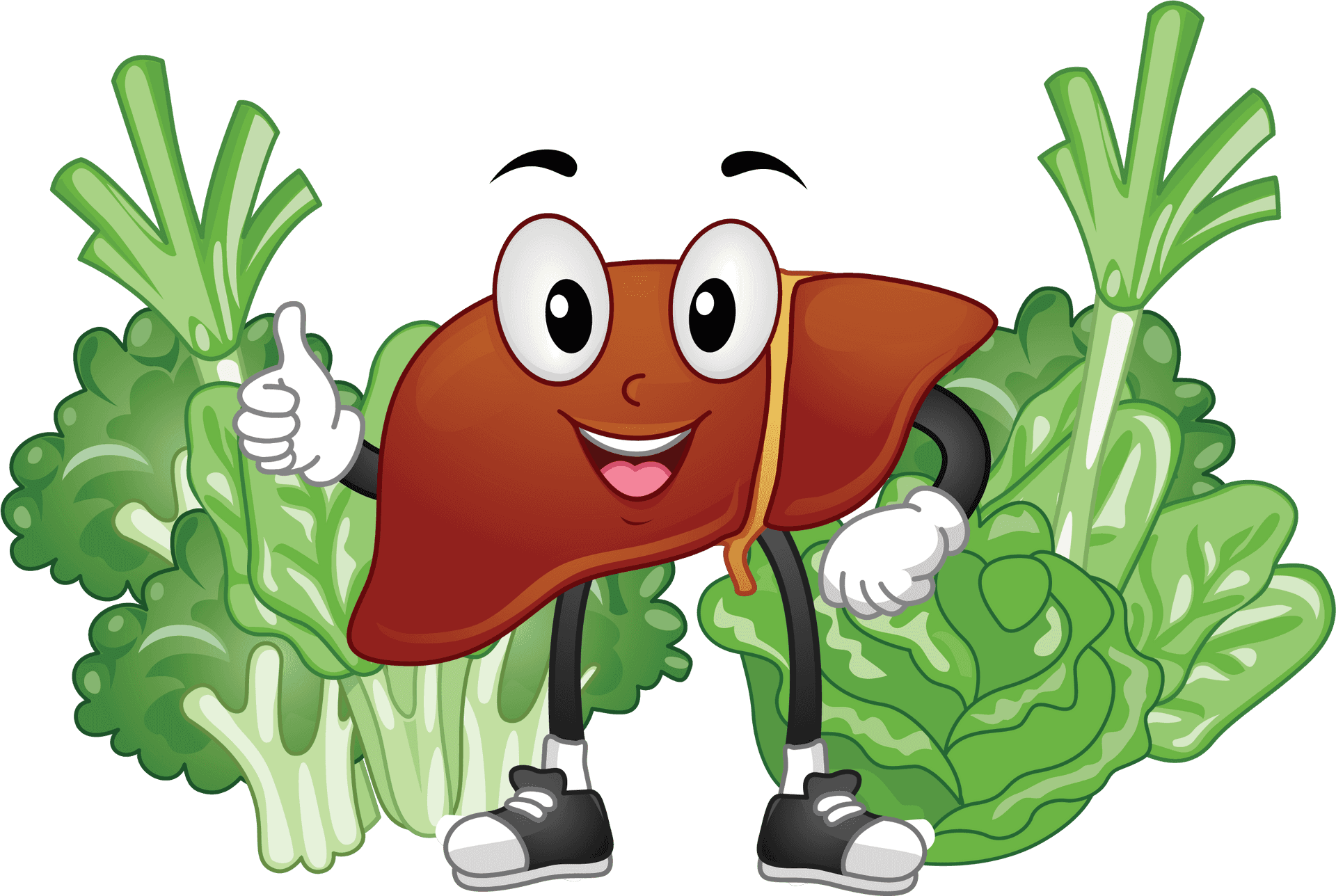 Happy Liver Character With Greens PNG