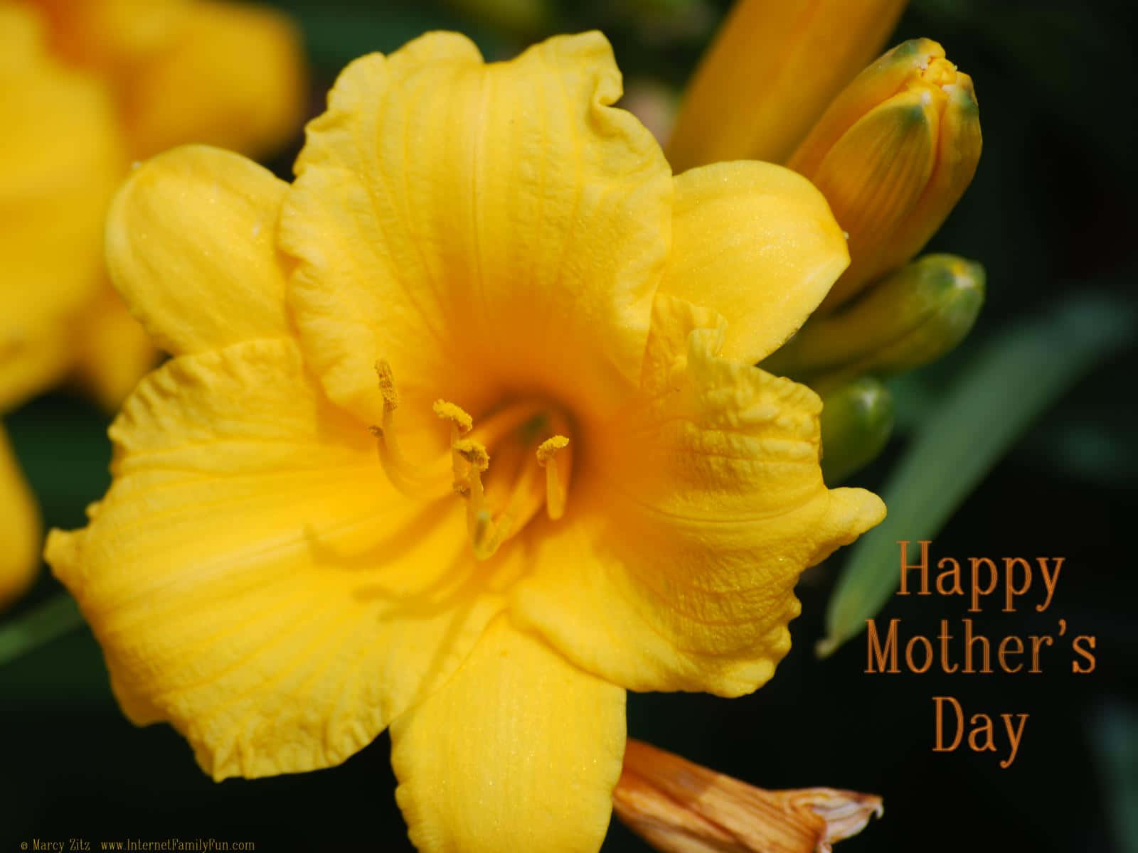 Sending lots of love this Mother's Day!