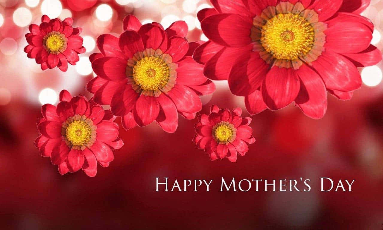 Felizdía De La Madre Saludo Fondo De Flores Rojas En Alta Definición Fondo de pantalla