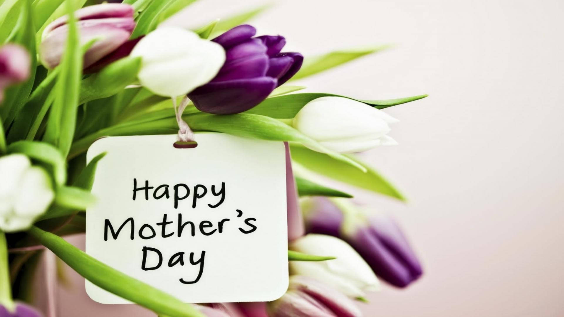 Happy Mothers Day Violet Roses Wallpaper