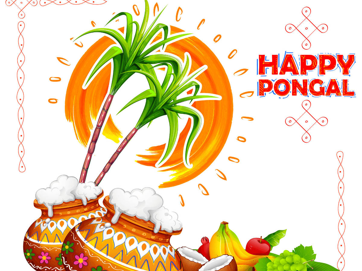 Happy Pongal Artwork Wallpaper
