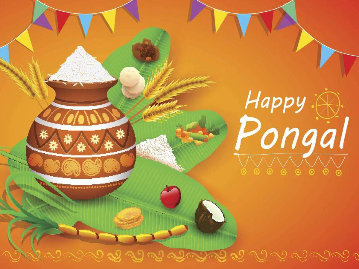 Happy Pongal Greeting Poster Wallpaper