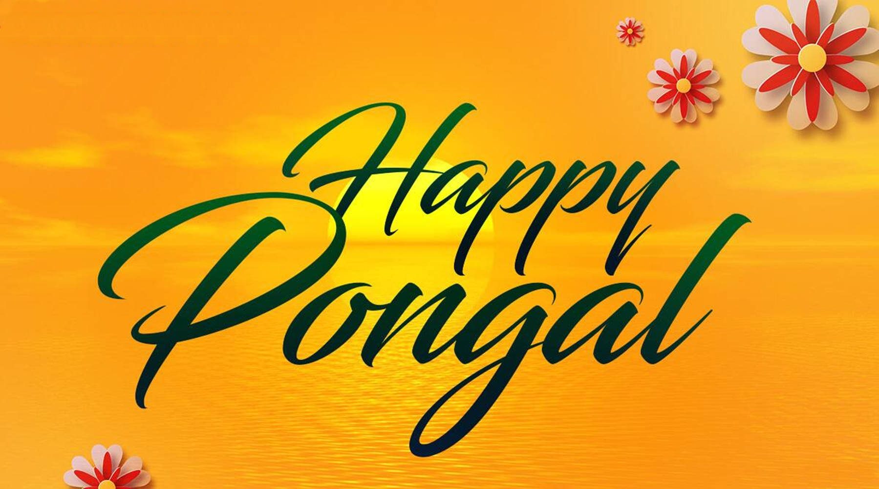 Happy Pongal Holiday Greeting Wallpaper