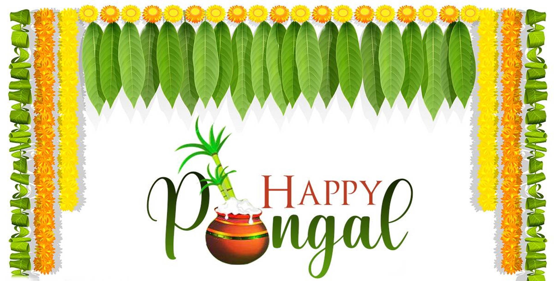 Happy Pongal Palm Leaves Wallpaper
