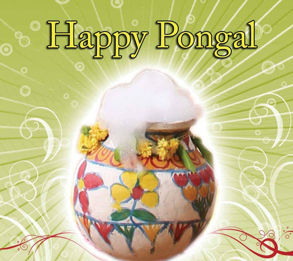 Happy Pongal Pot Foam Wallpaper