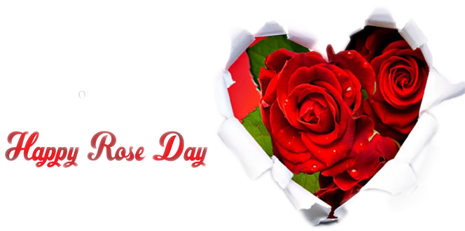 Happy Rose Day Heart Shaped Roses PNG