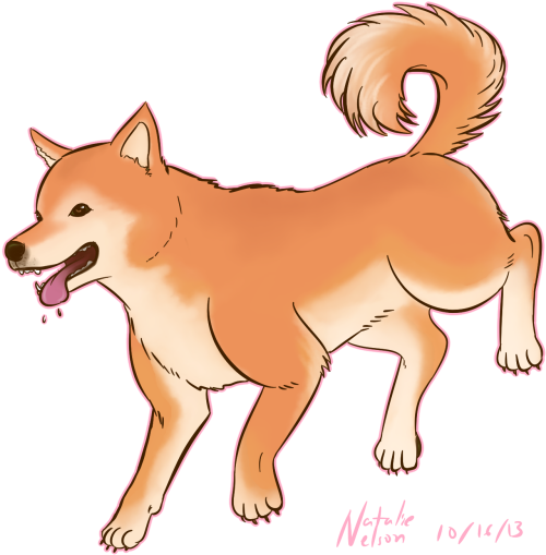 Happy Shiba Inu Illustration PNG