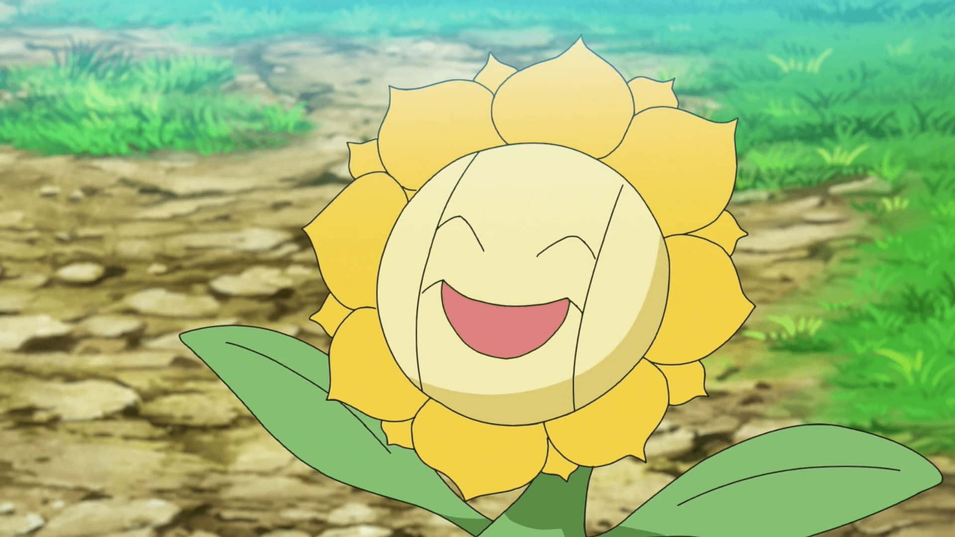 Happy Sunflora In Anime Wallpaper