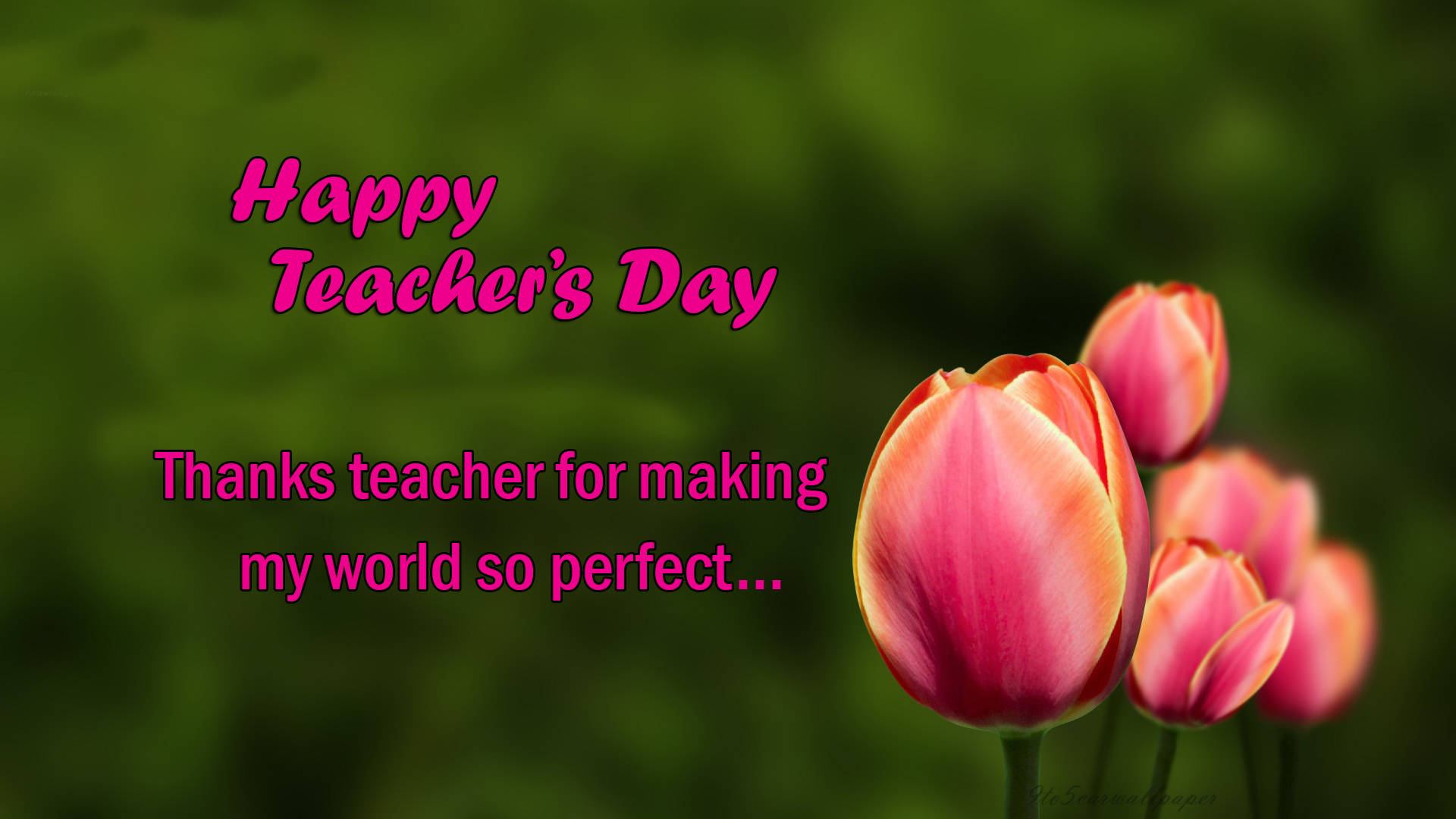 Happy Teachers' Day Perfect World Wallpaper
