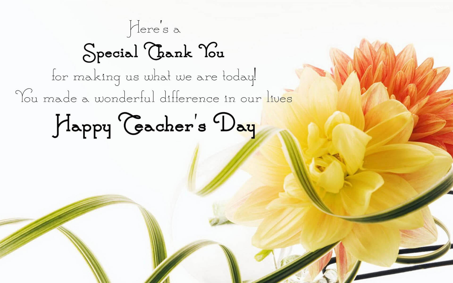 Happy Teachers' Day Special Thank You Wallpaper