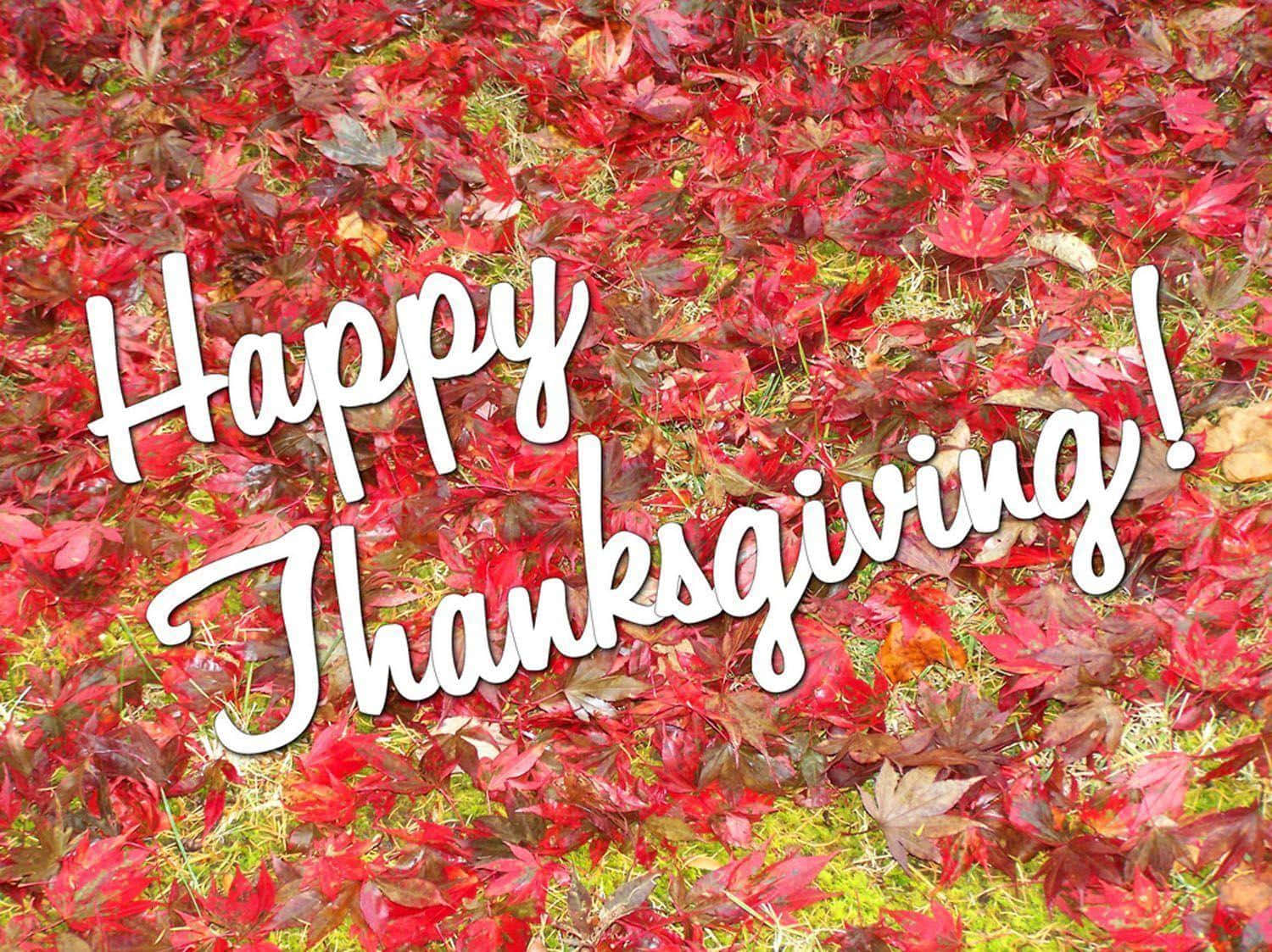 Give Thanks and Celebrate Thanksgiving!