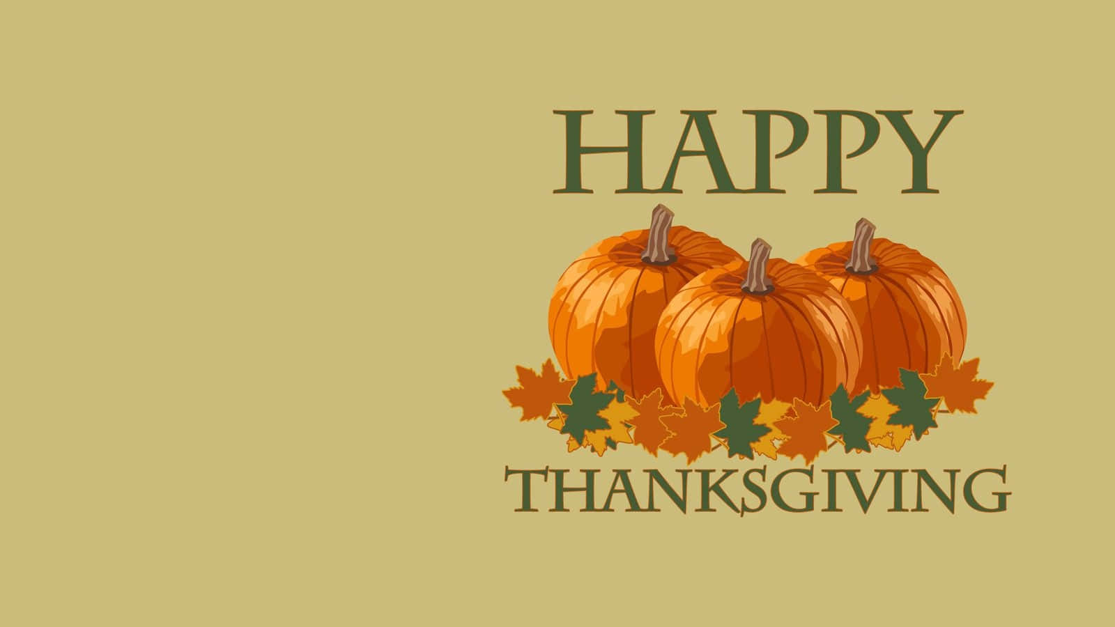 Three Pumpkins Happy Thanksgiving Greeting Card Wallpaper