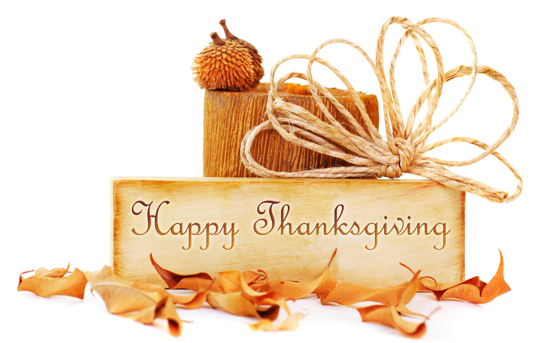 Happy Thanksgiving Cute Word Text Wallpaper