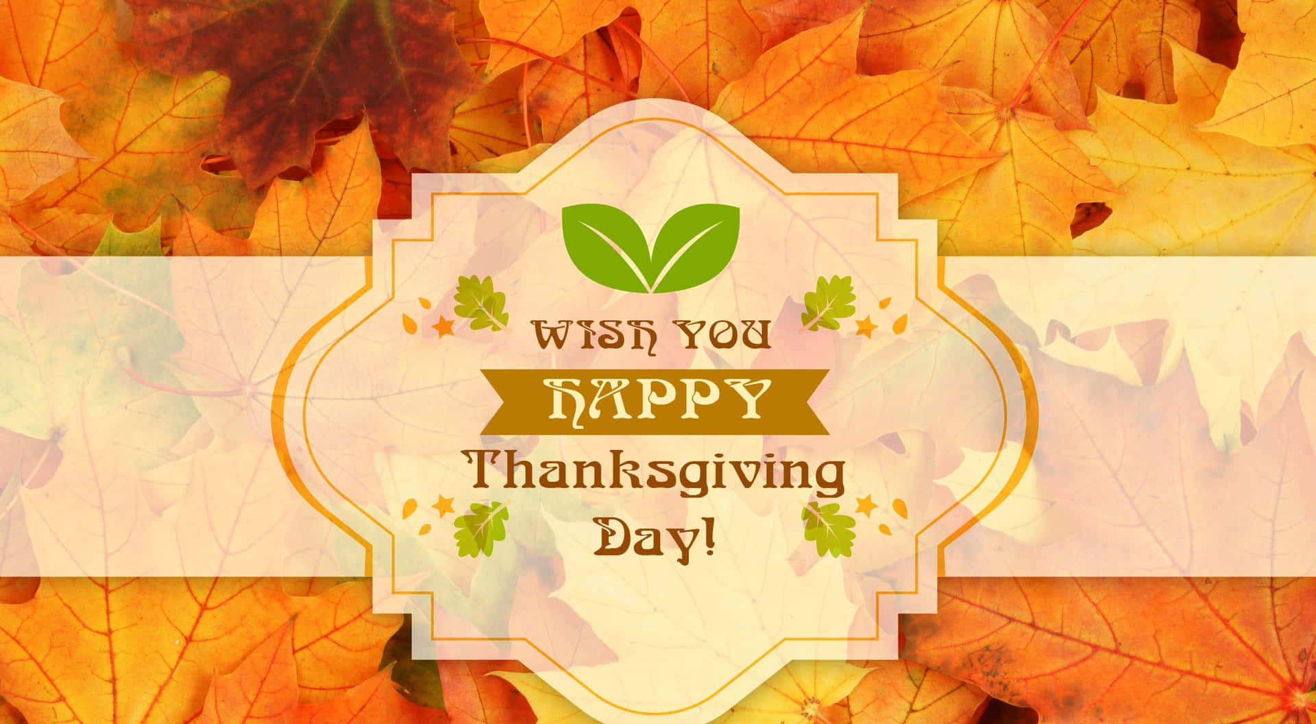 Celebrate Thanksgiving with Family and Friends Wallpaper