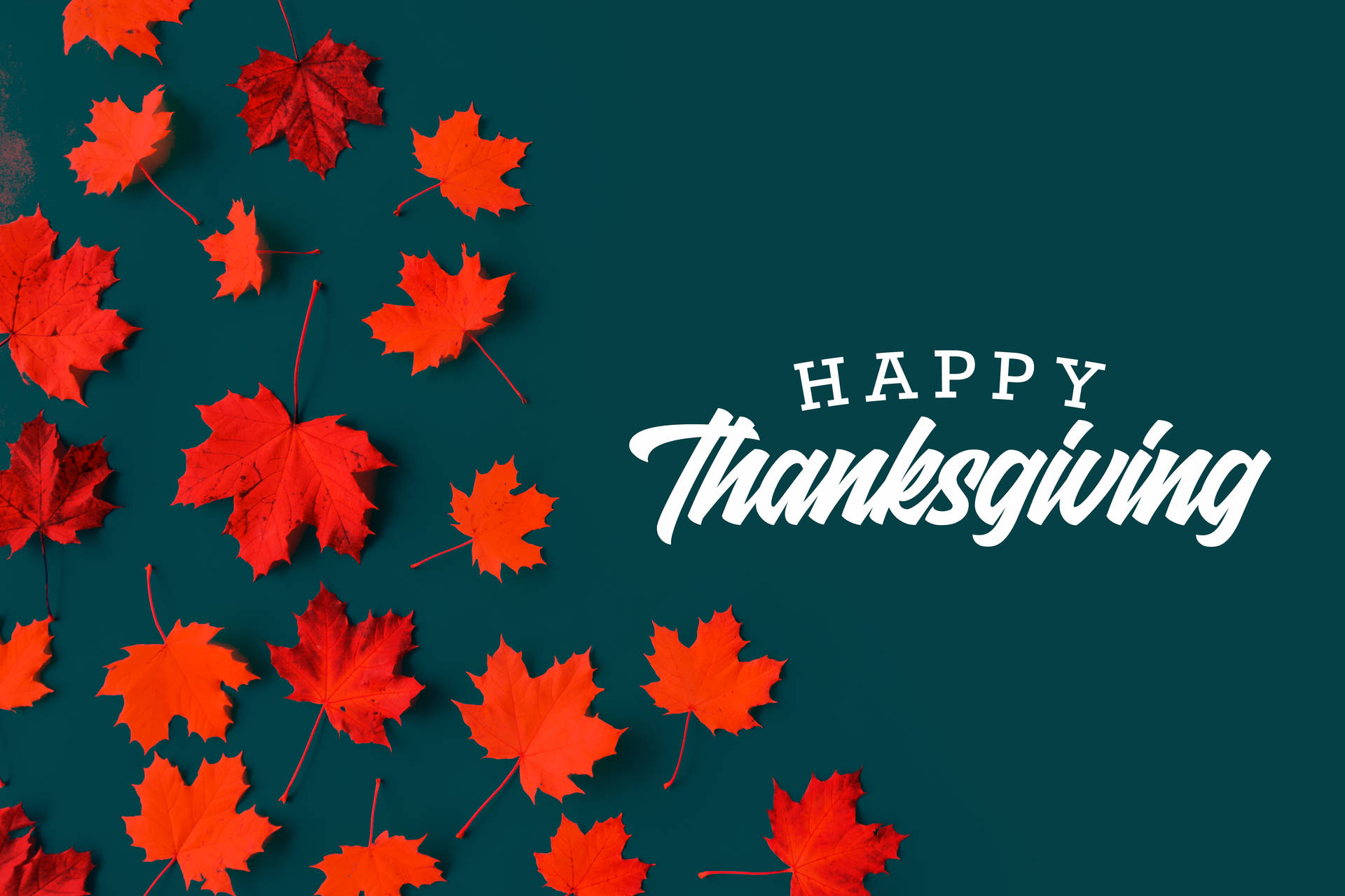 Happy Thanksgiving Day Blue Wallpaper