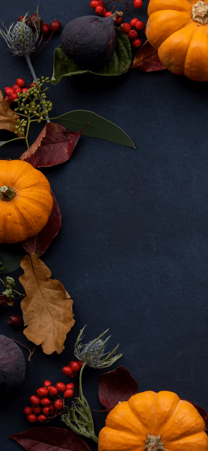 Celebrate Thanksgiving In Style With A Desktop Background Wallpaper