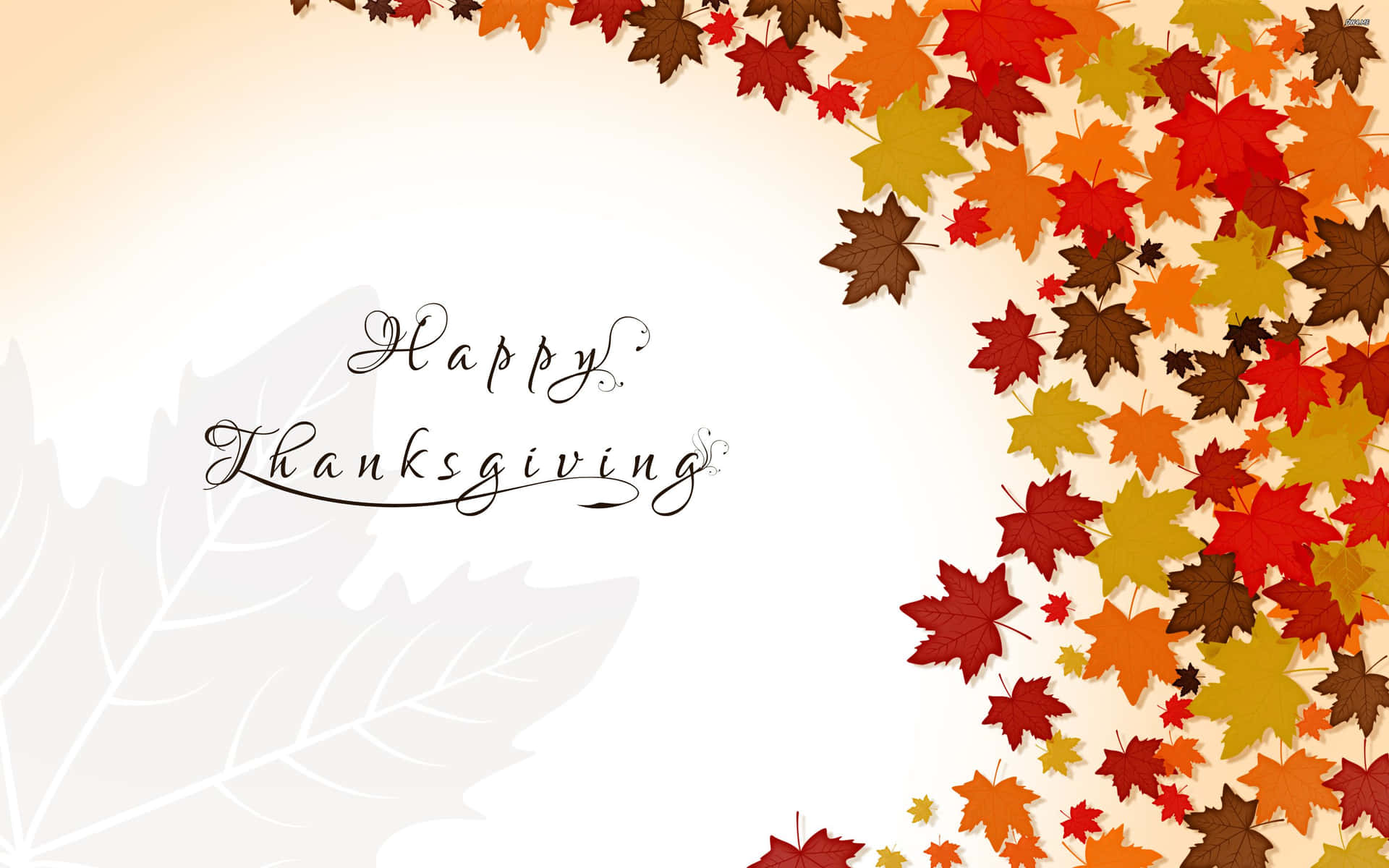 'Glædelig Thanksgiving!' Wallpaper