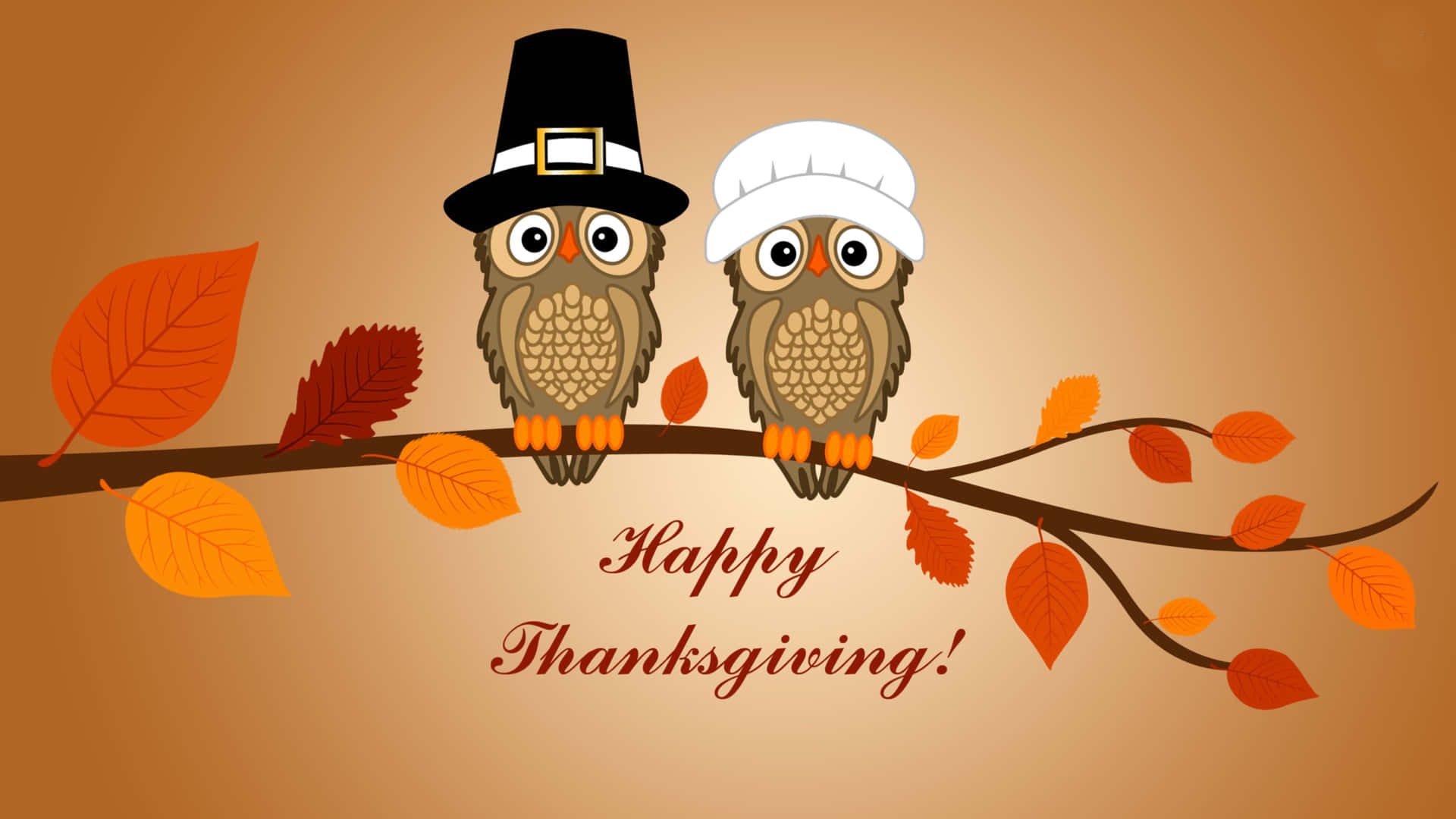 Happy Thanksgiving Owls Wearing Pilgrim Hats Wallpaper