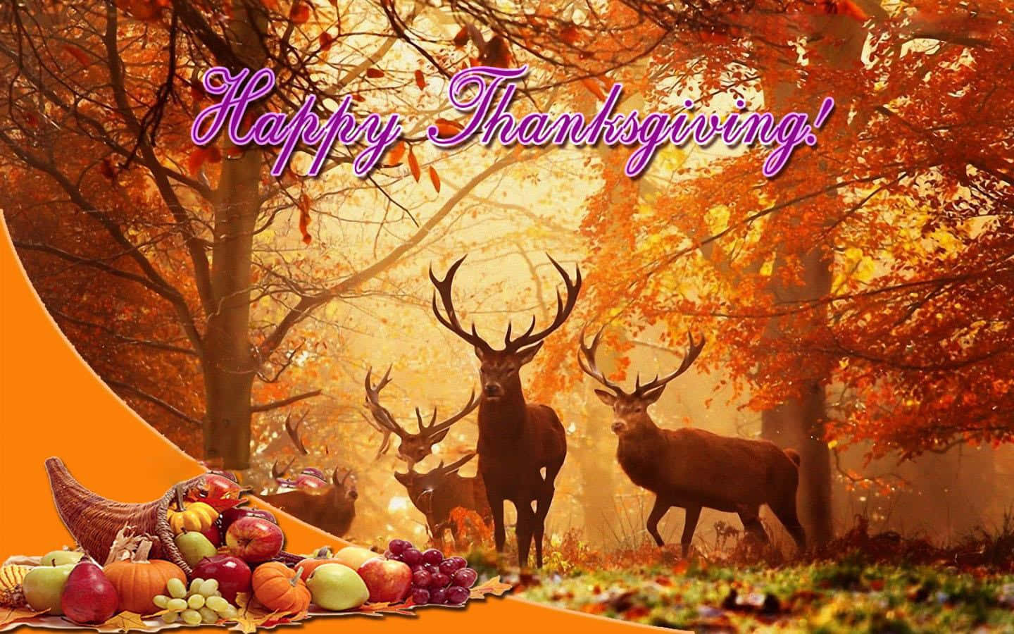 Dendank Tag An Thanksgiving Feiern Wallpaper