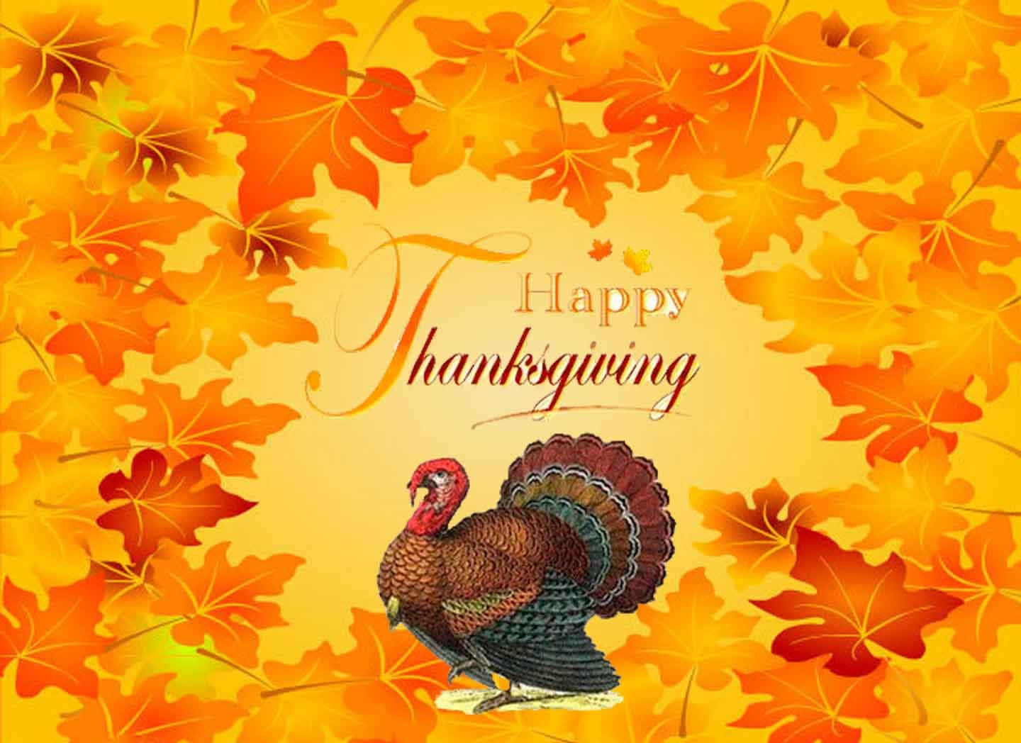 Ichwünsche Ihnen Frieden, Freude Und Ein Fröhliches Thanksgiving. Wallpaper