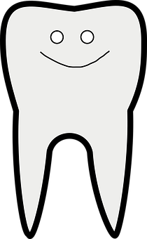 Happy Tooth Cartoon Illustration PNG