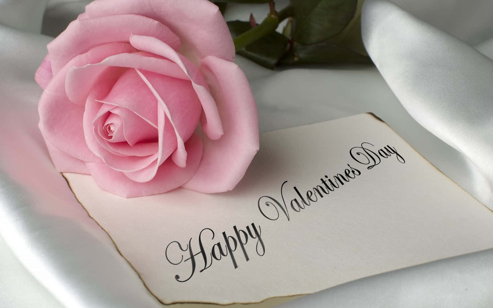 Rosasdel Día De San Valentín
