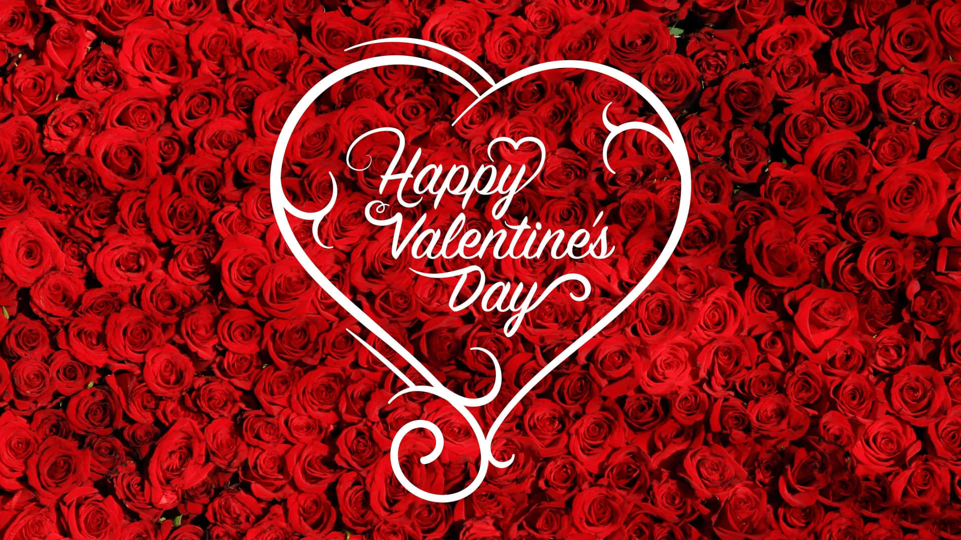Celebrate Happy Valentine's Day with this beautiful HD wallpaper Wallpaper