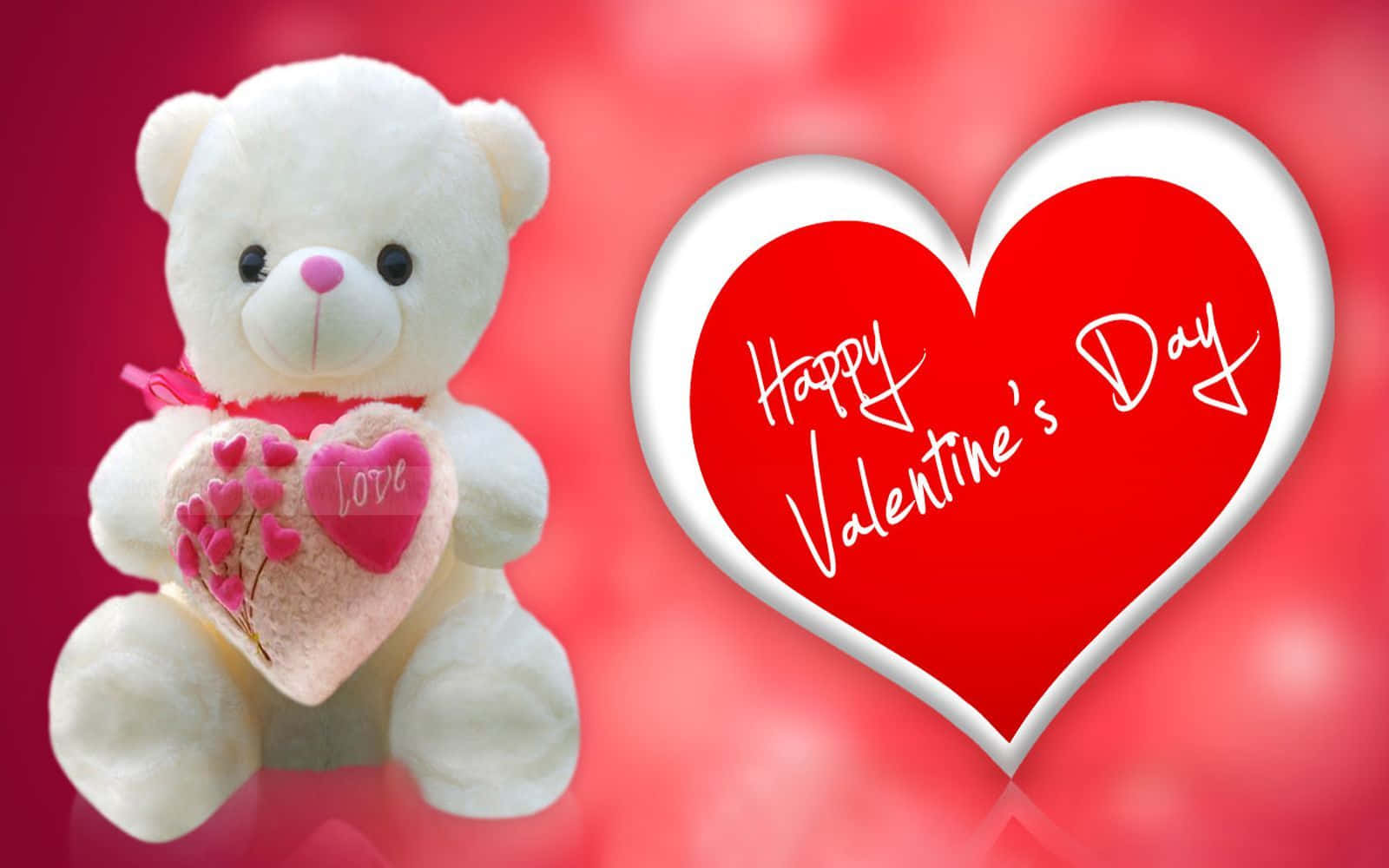 White Teddy Bear Happy Valentines Day HD Wallpaper