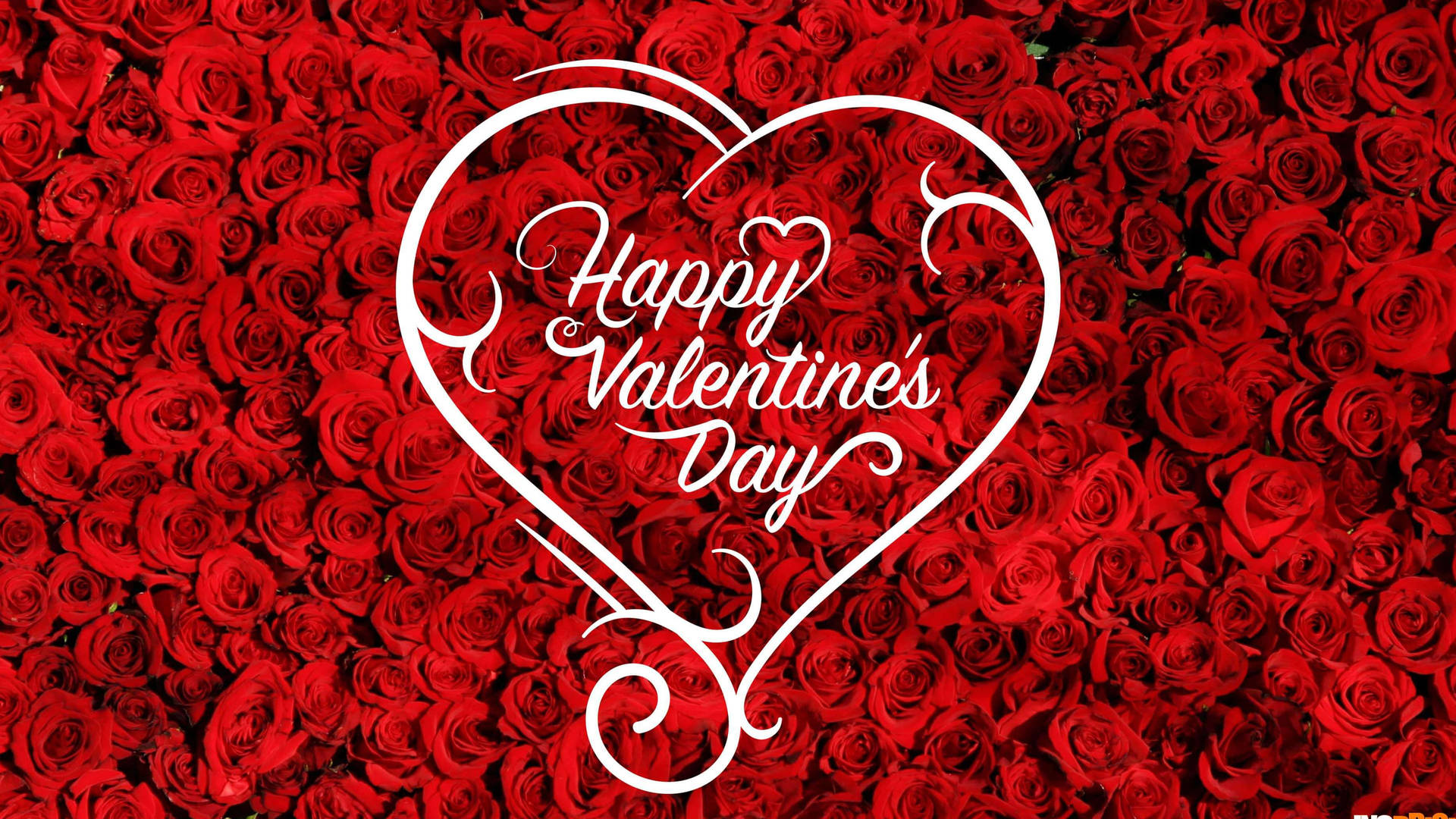 Happy Valentine’s Day Red Roses Desktop Wallpaper