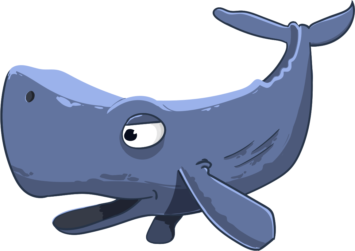 Happy Whale Cartoon Illustration PNG