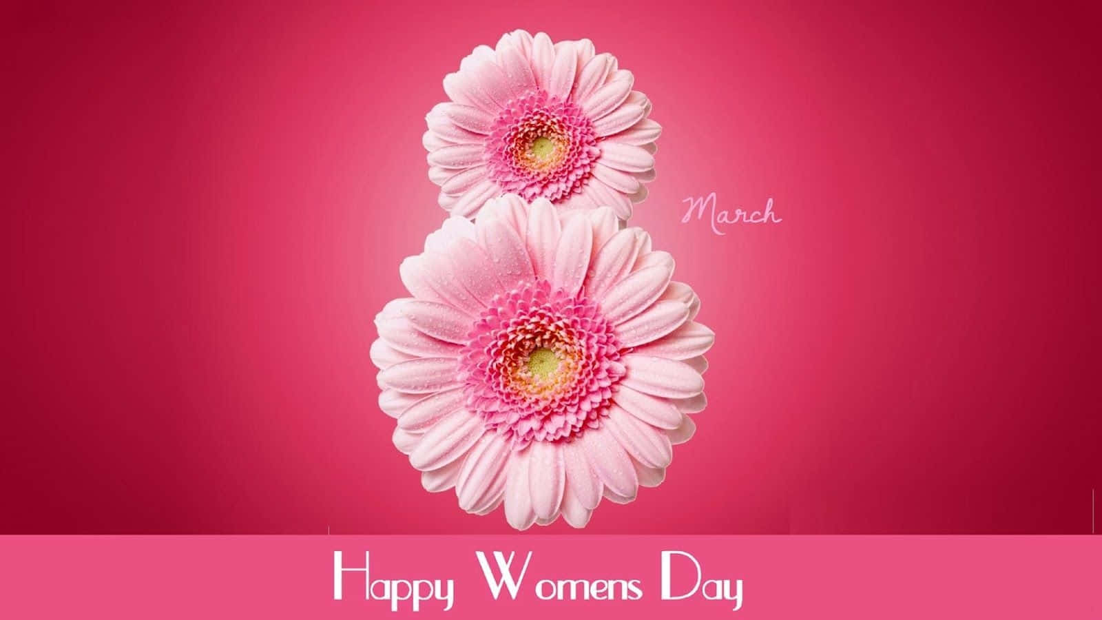 Happy Womens Day 2019 Wishes Wallpaper