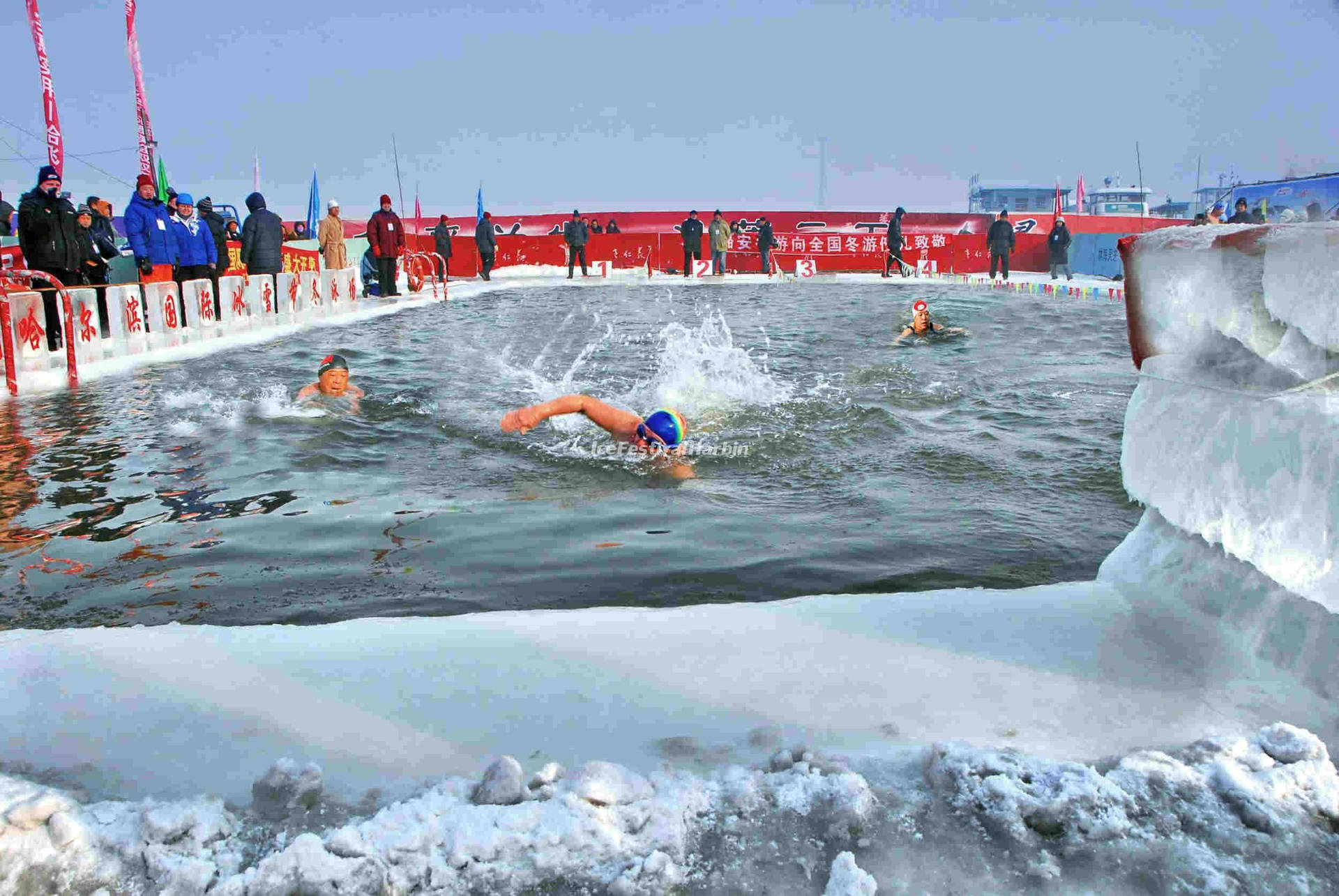 Harbin Ice Swimming Wallpaper