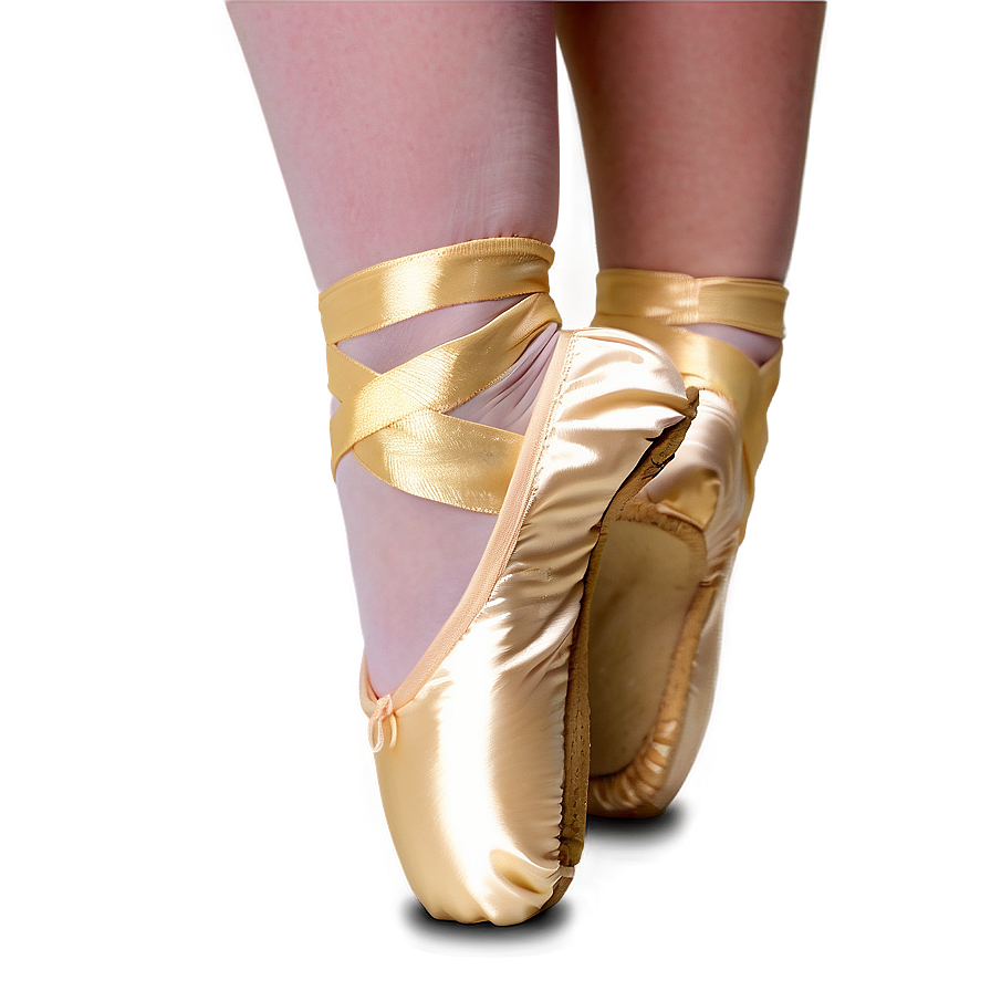 Hard Shank Pointe Shoes Png Xgl44 PNG