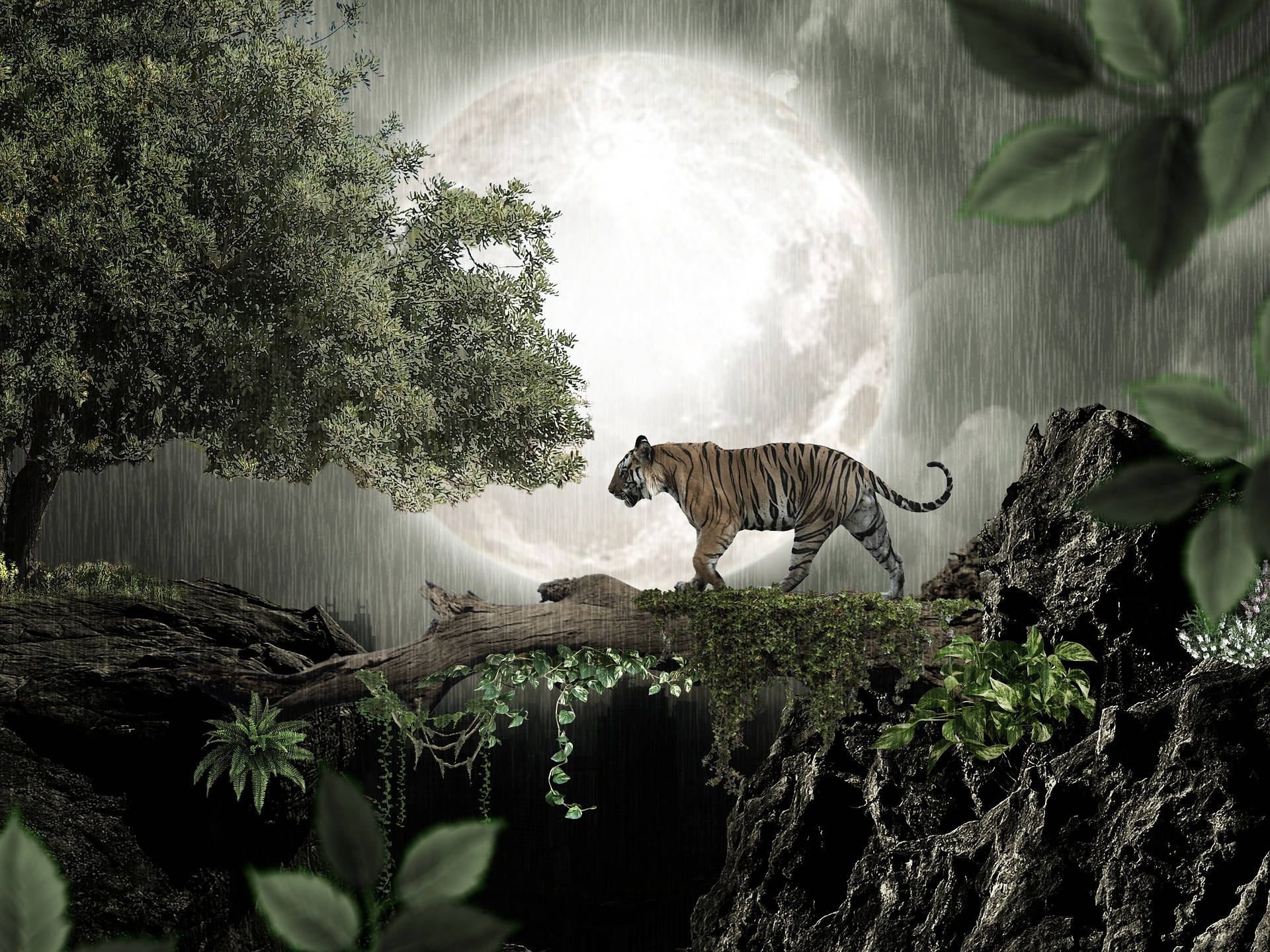 Harimau And Full Moon Wallpaper