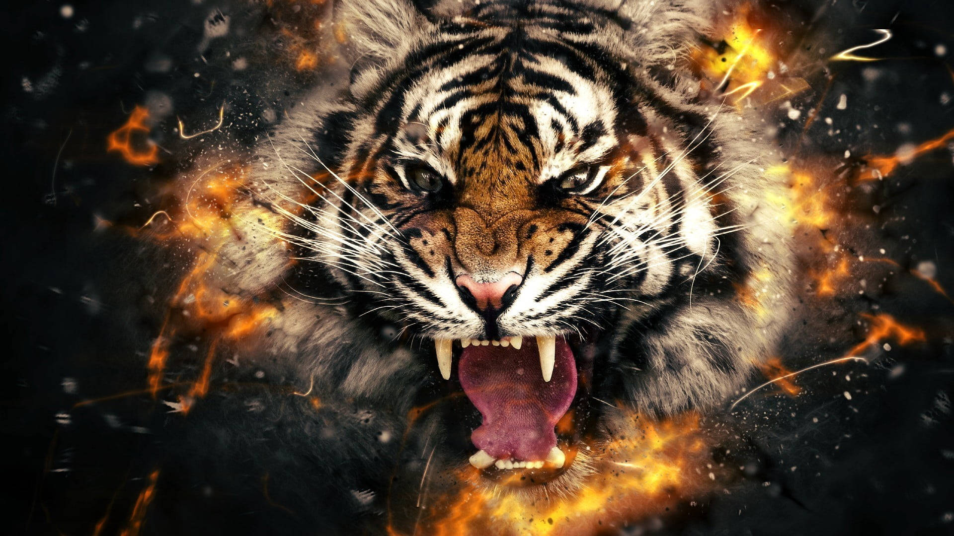 Harimau Face With Fire Wallpaper