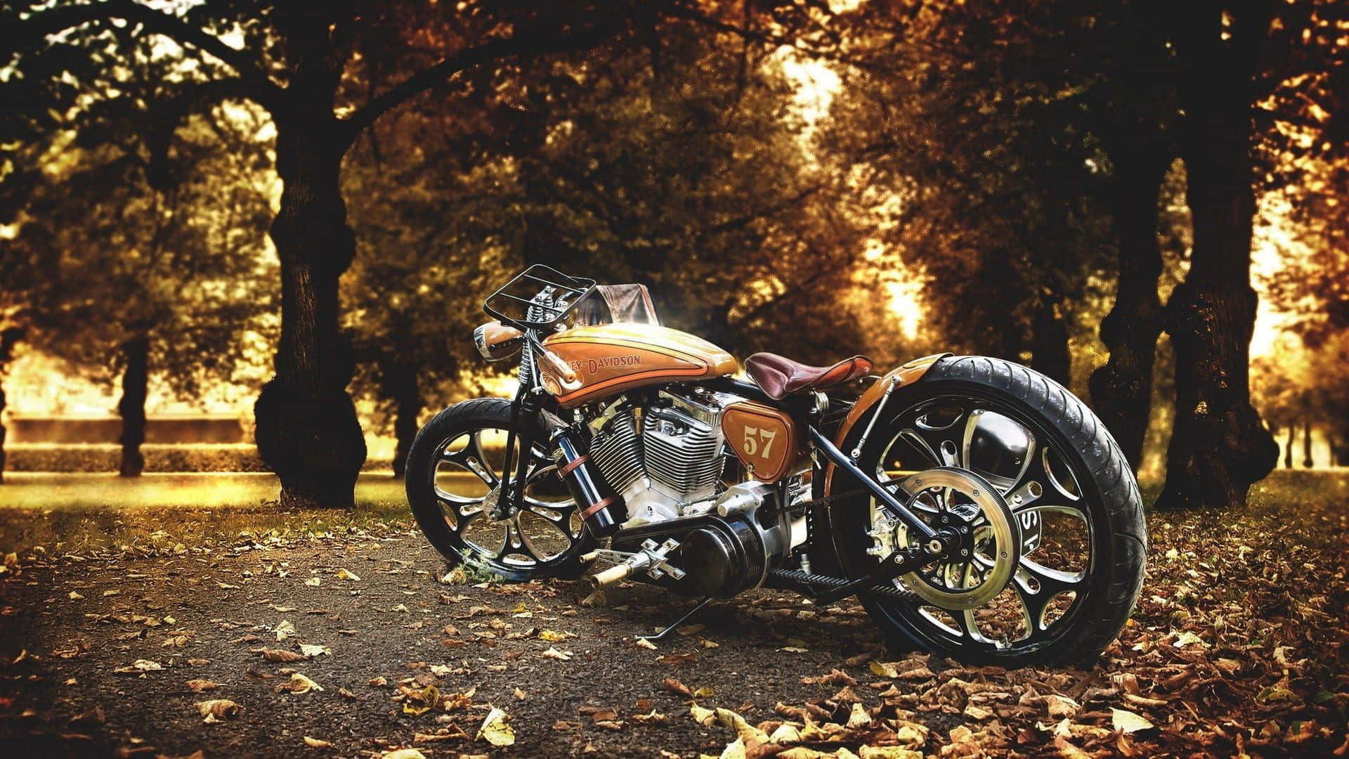 Harley Davidson Motorcycle In Forest Background