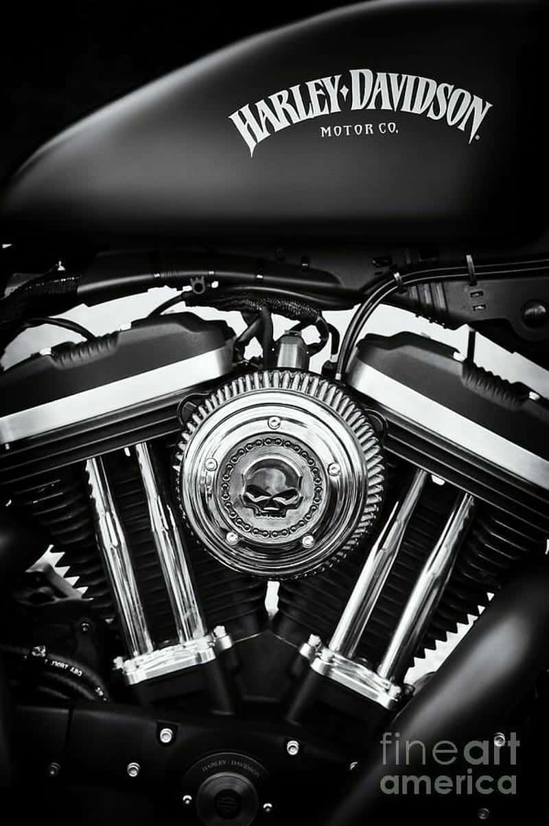 Download Harley Davidson Hd Wallpaper 