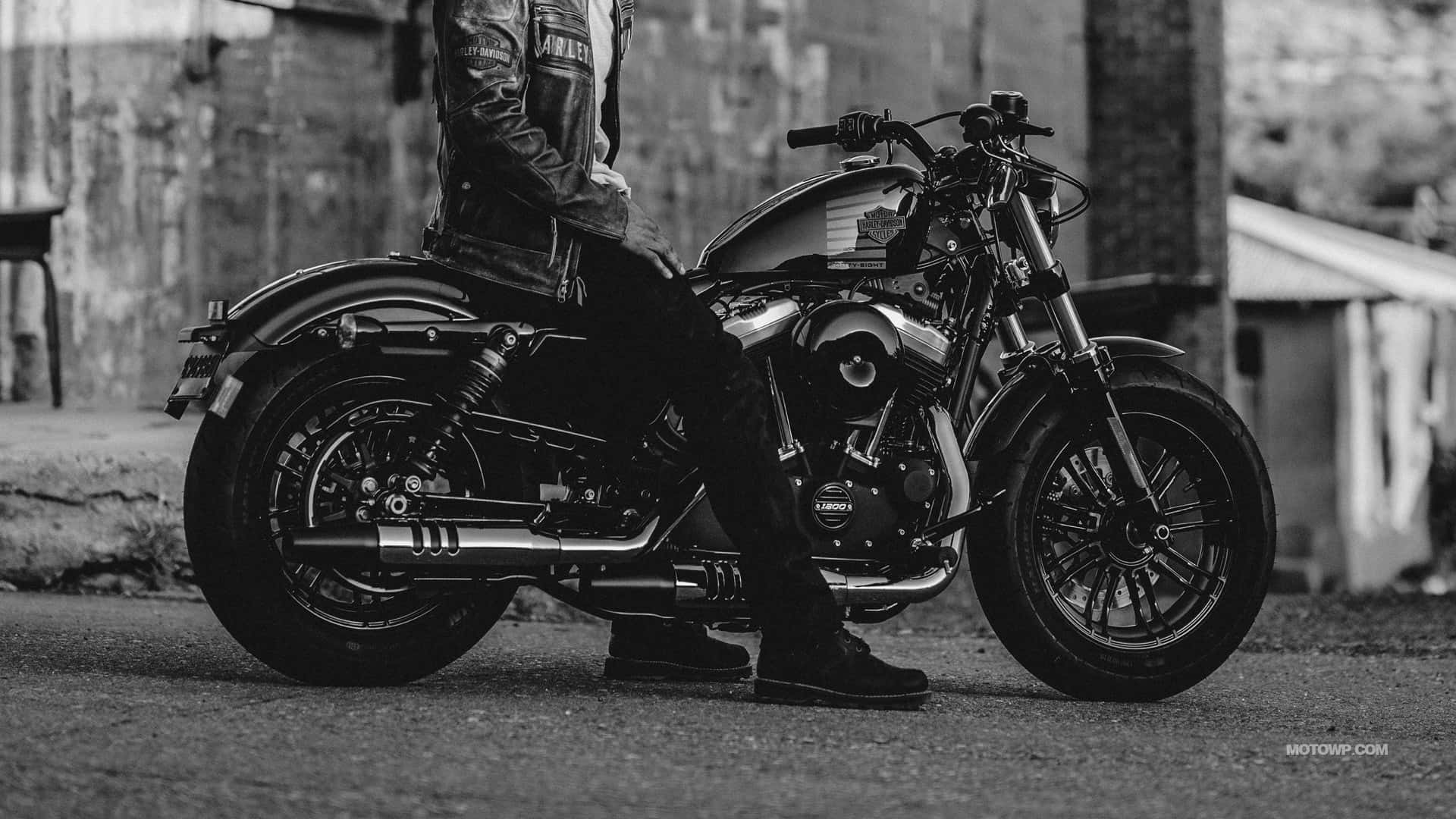 Black And White Harley Davidson Hd Wallpaper