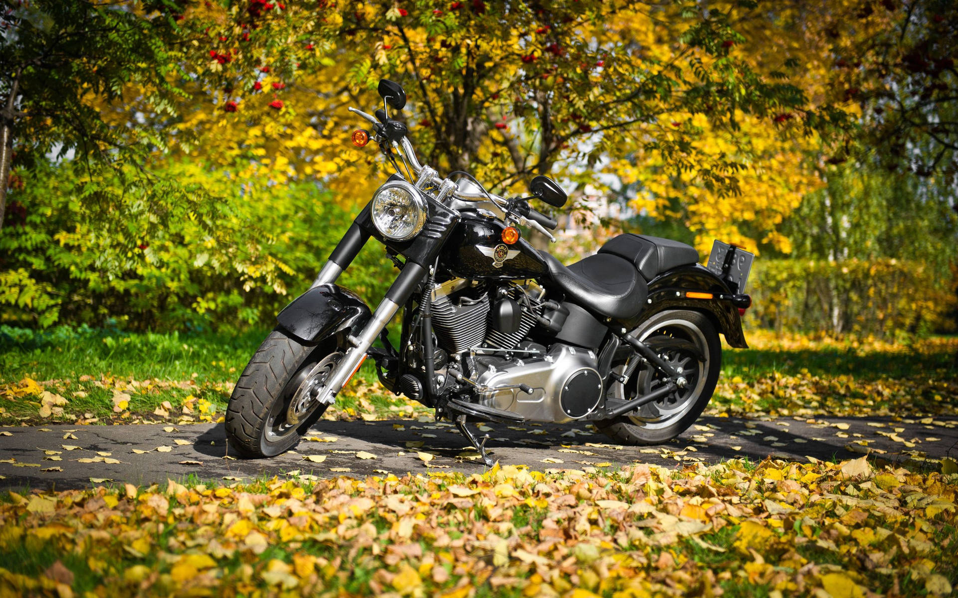 Harley Davidson In Autumn