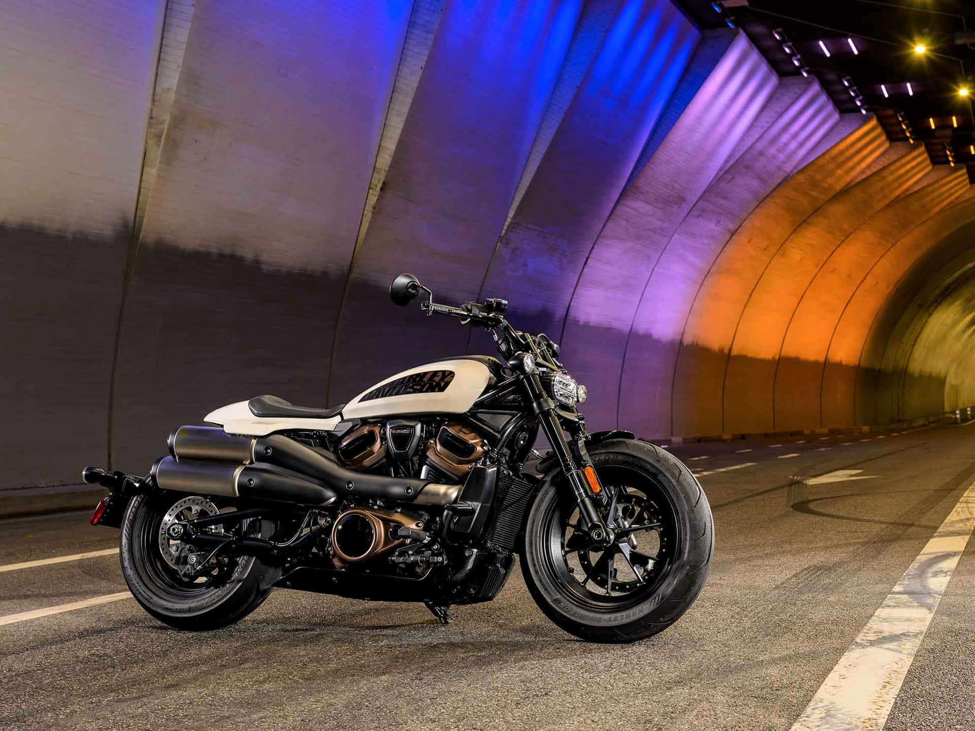 Enjoy the Powerful Roar of Your Harley-Davidson
