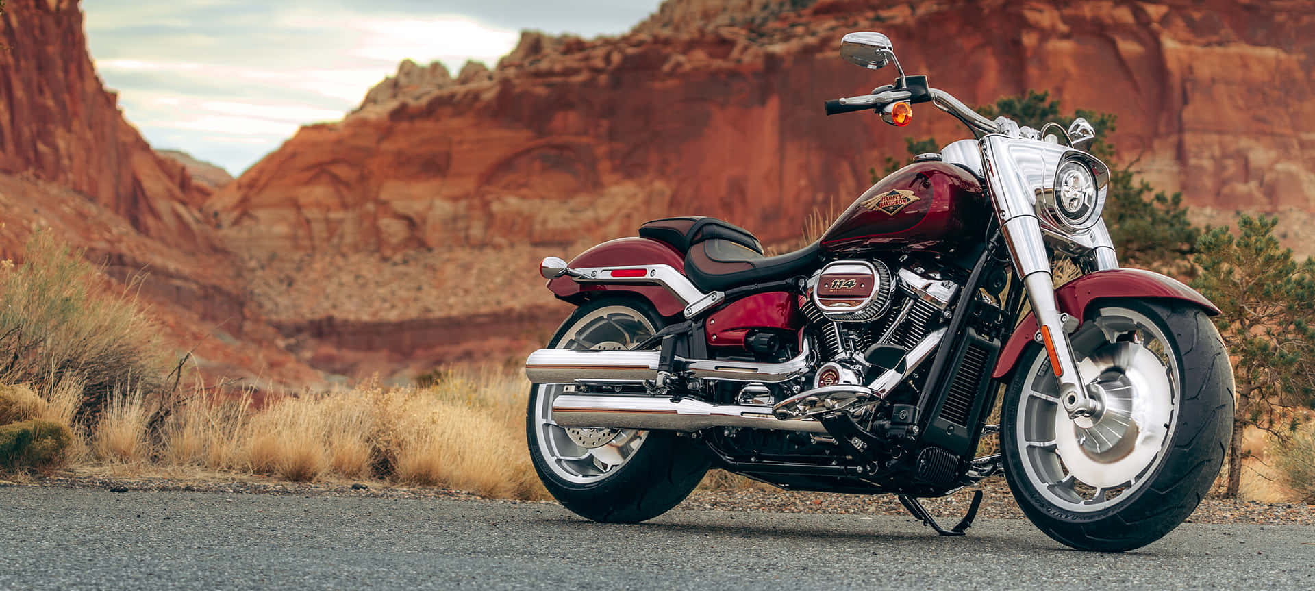 “Take a ride on the wild side with a Harley-Davidson”