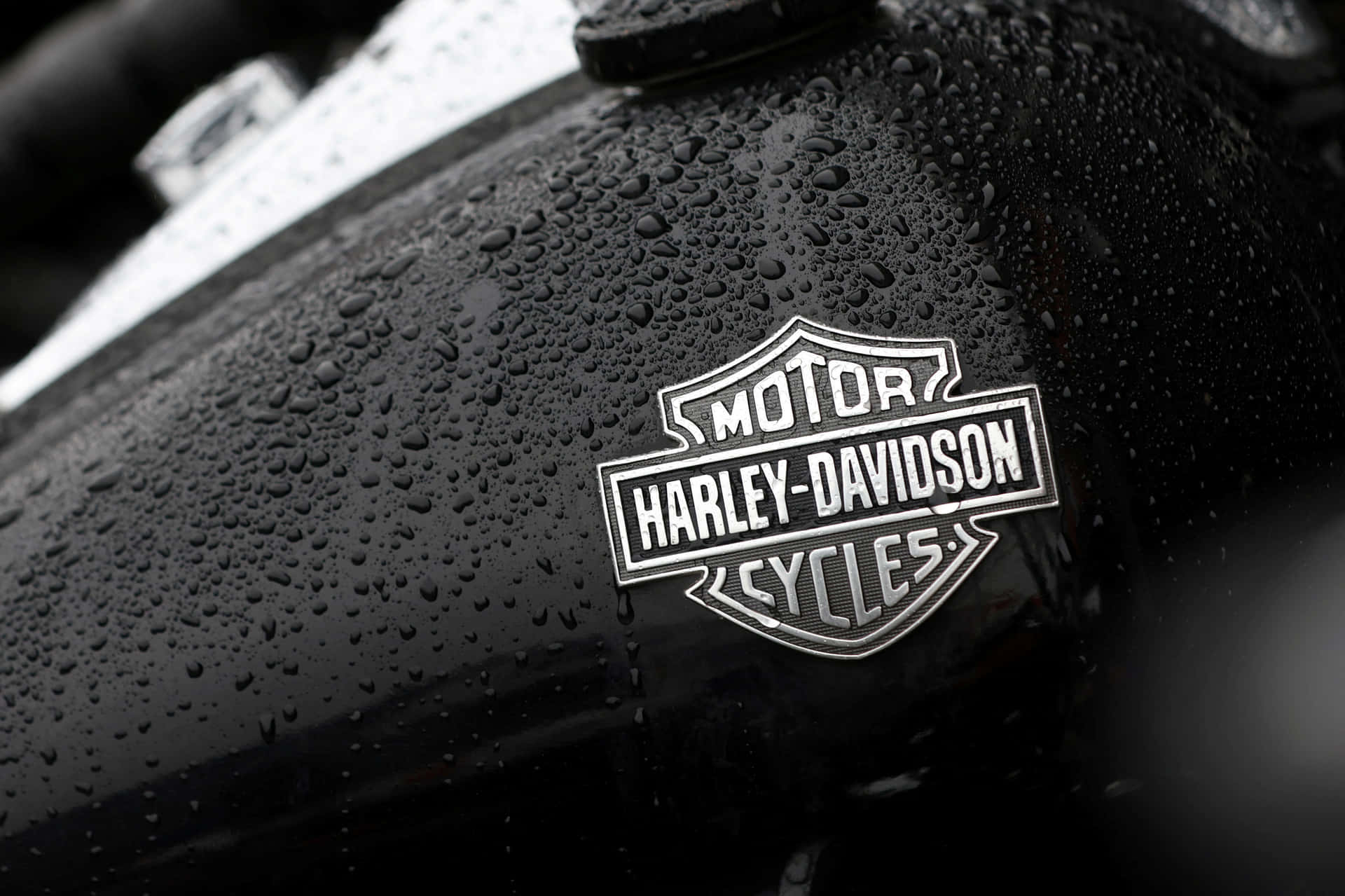 "Live The Dream with Harley Davidson Motorcycles"