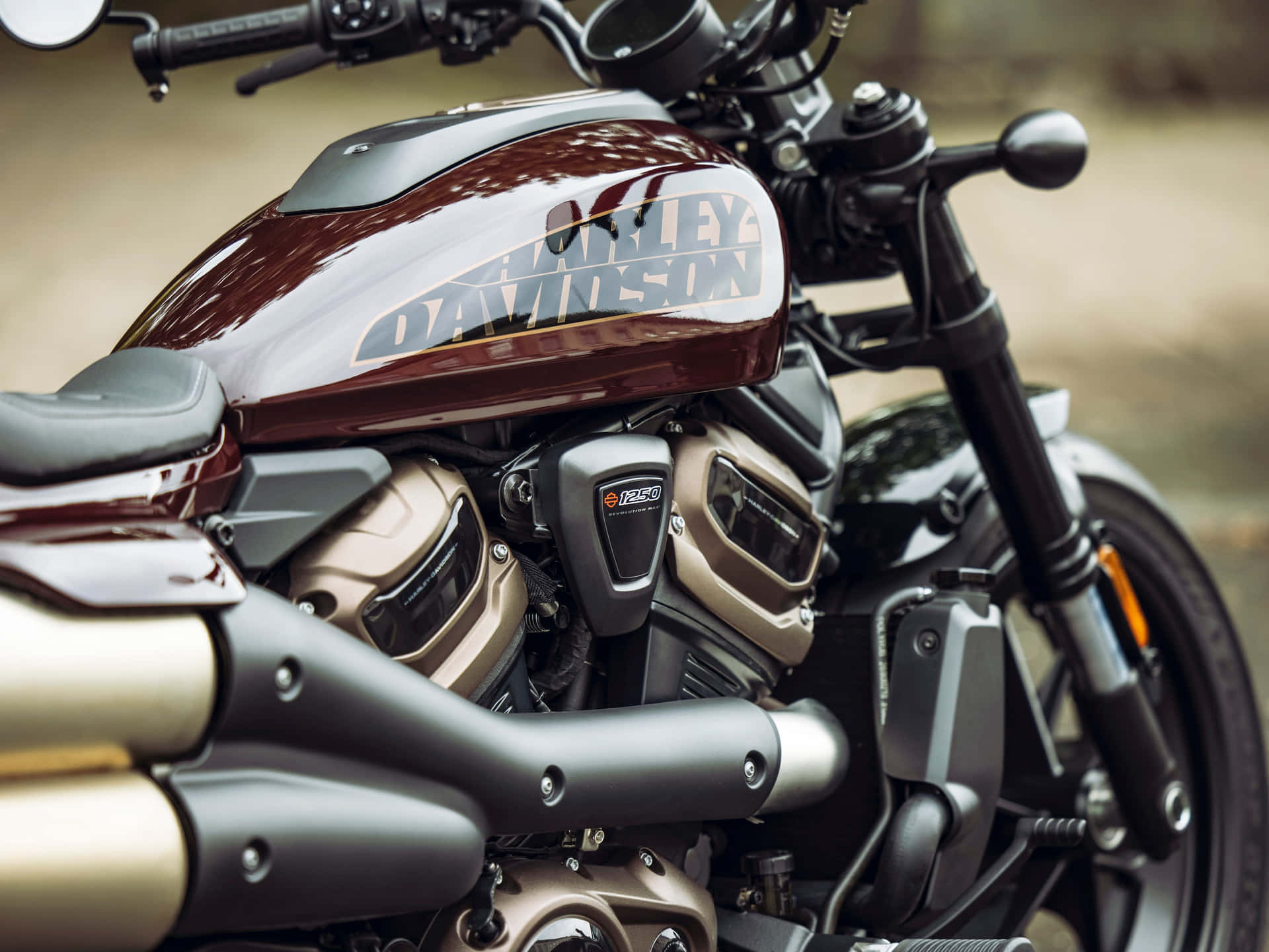 "Take a Ride on the Wild Side with Harley Davidson"