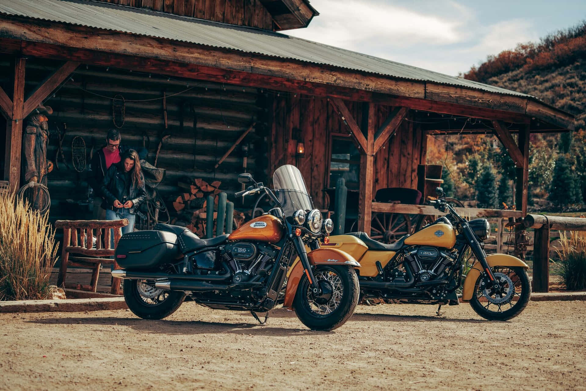 Enjoy the Open Road on a Classic Harley-Davidson