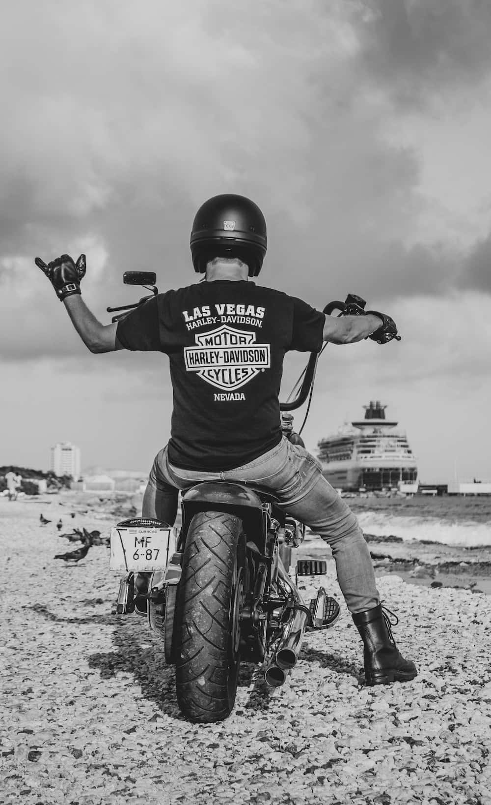 Harley Davidson Shirt Merchandise Background